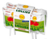 Frigeo Traubenzucker Lollys Erdbeer 60 g
