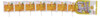Frigeo Traubenzucker Lolly Tropic 52 g