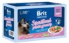 Brit Premium by Nature Cat Delicate Meat Fillets in Gravy Sterilised 12 x 85 g 