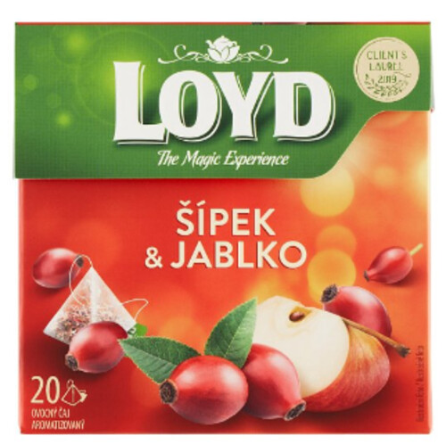 Loyd Pyramid Šípek & Jablko 20 x 2 g