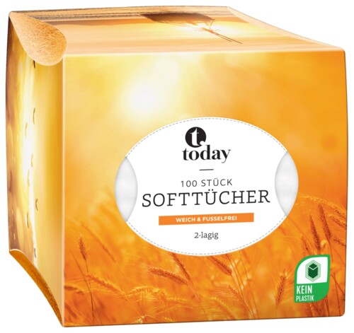 Today Softtüecher  2lagig 100 stück