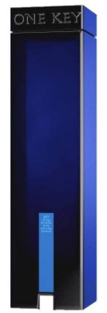 One Key Gin 40% 0,7 l (holá láhev)