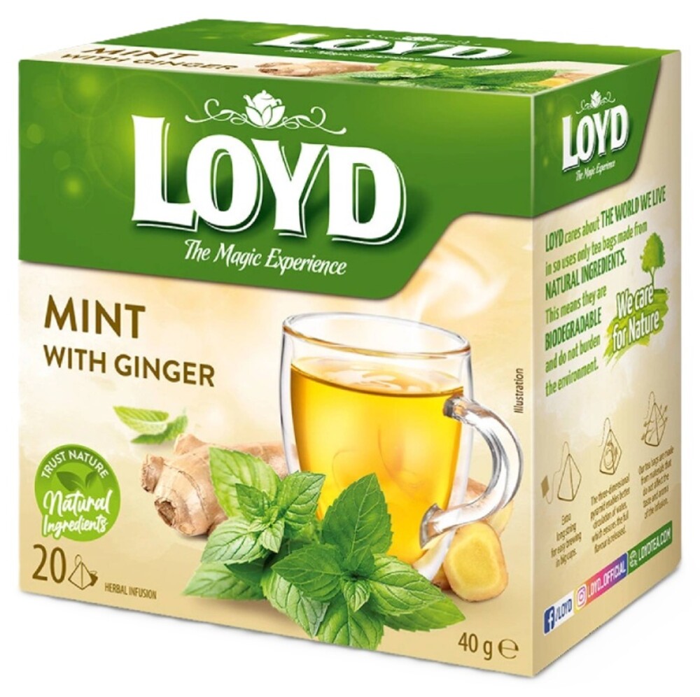 LOYD Mint with Ginger 20 x 2 g